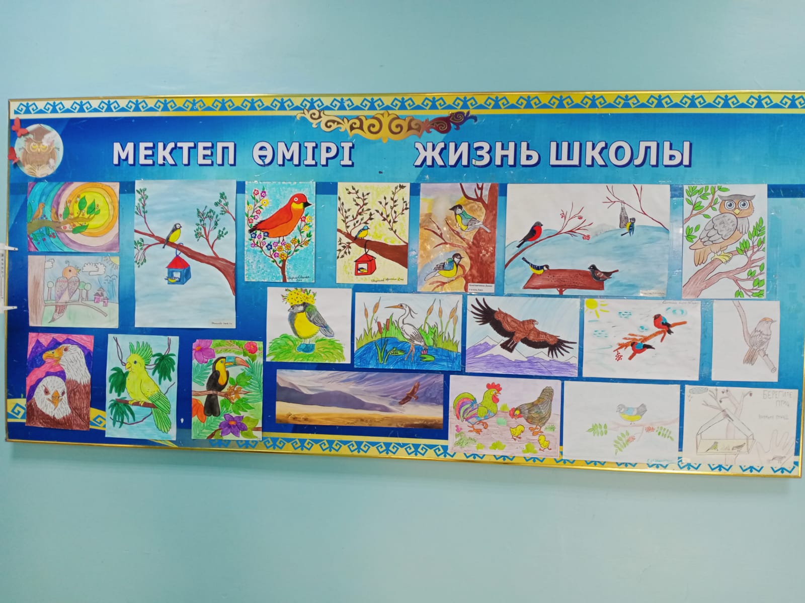 «Птицы-наши друзья!»