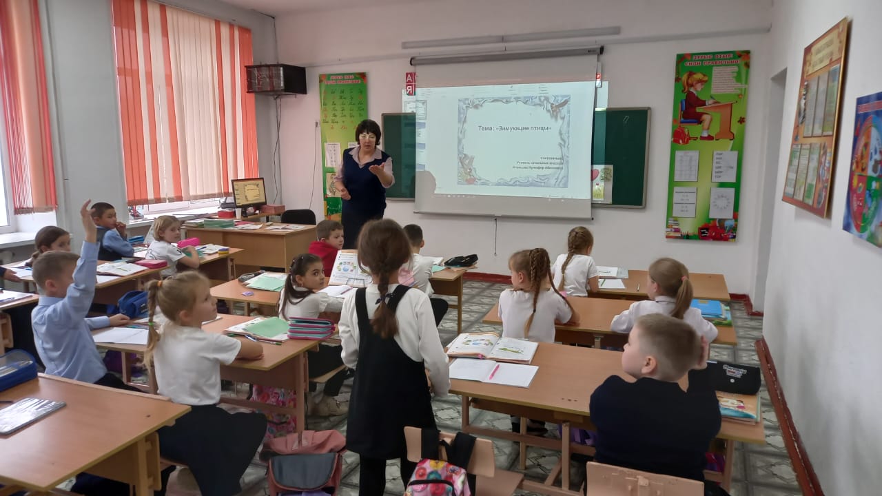 &quot;Зимующие птицы&quot;